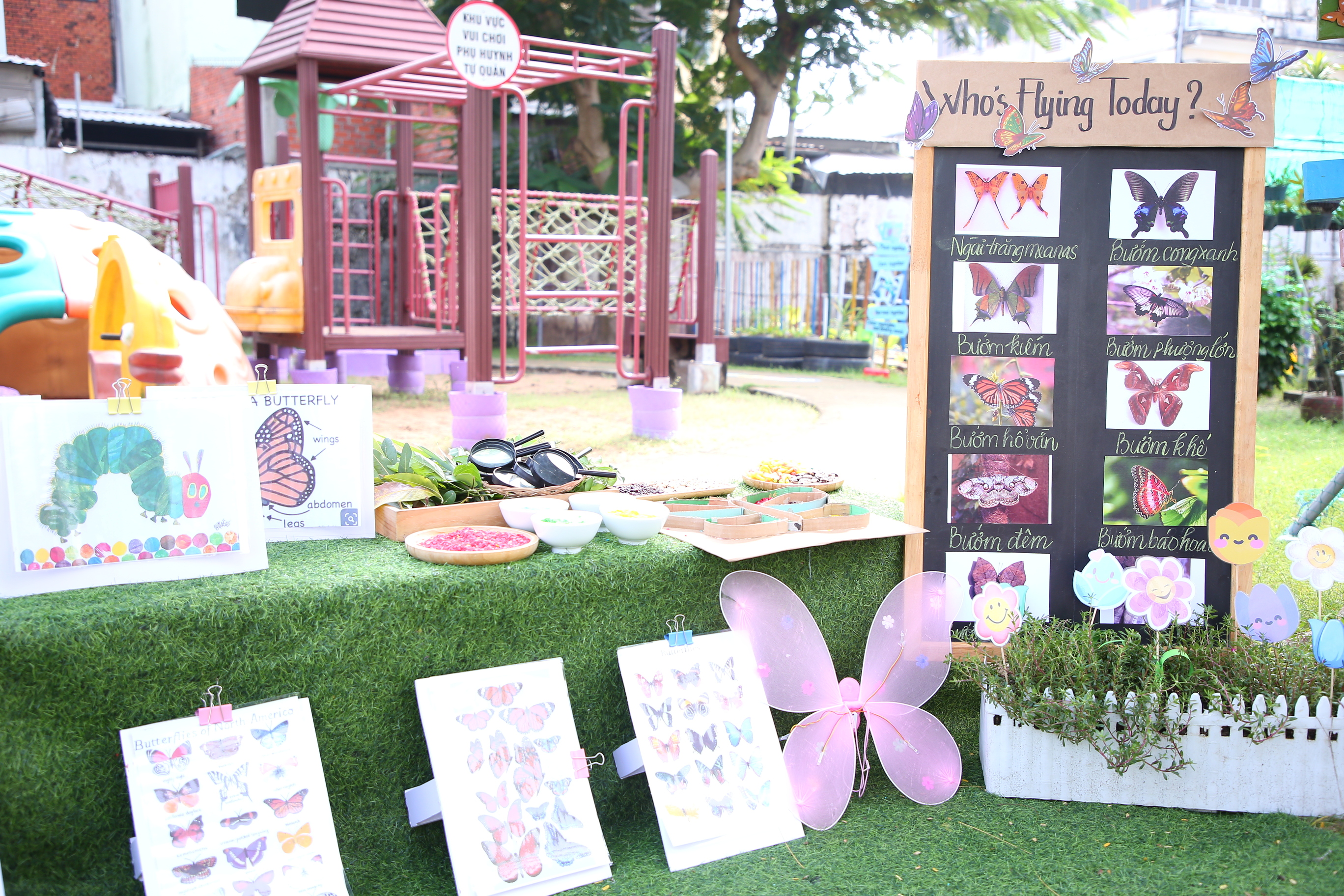 VẺ ĐẸP CỦA LOÀI BƯỚM VÀ NHIỀU ĐIỀU THÚ VỊ MÀ CON CHƯA BIẾT