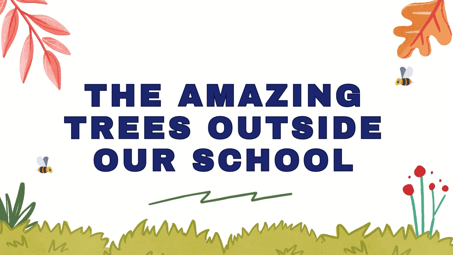[TALKIES TELL ME] – THE AMAZING TREES OUTSIDE OUR SCHOOL