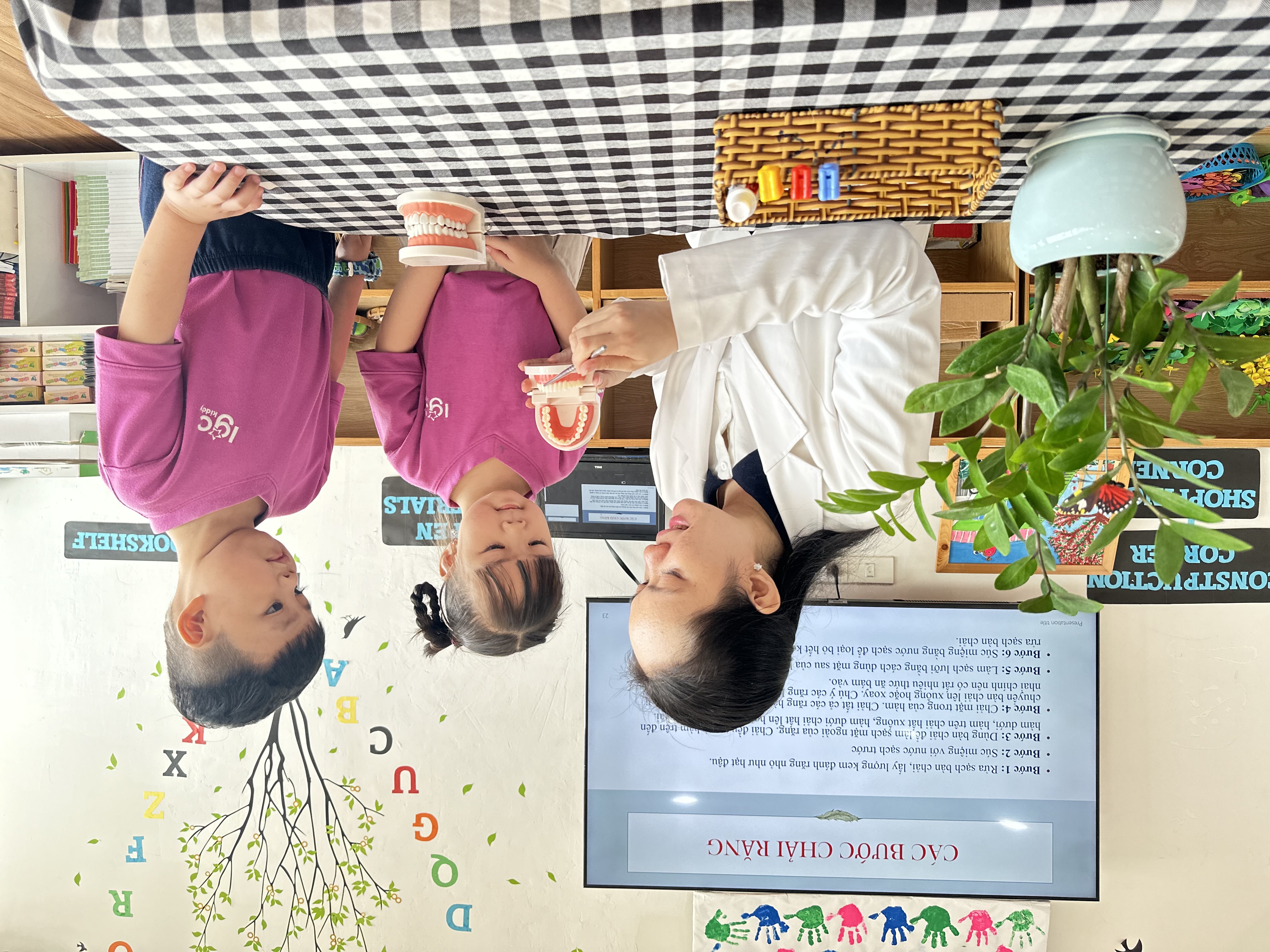 CHĂM SÓC SỨC KHỎE RĂNG MIỆNG CHO TRẺ KHỐI MOLLY