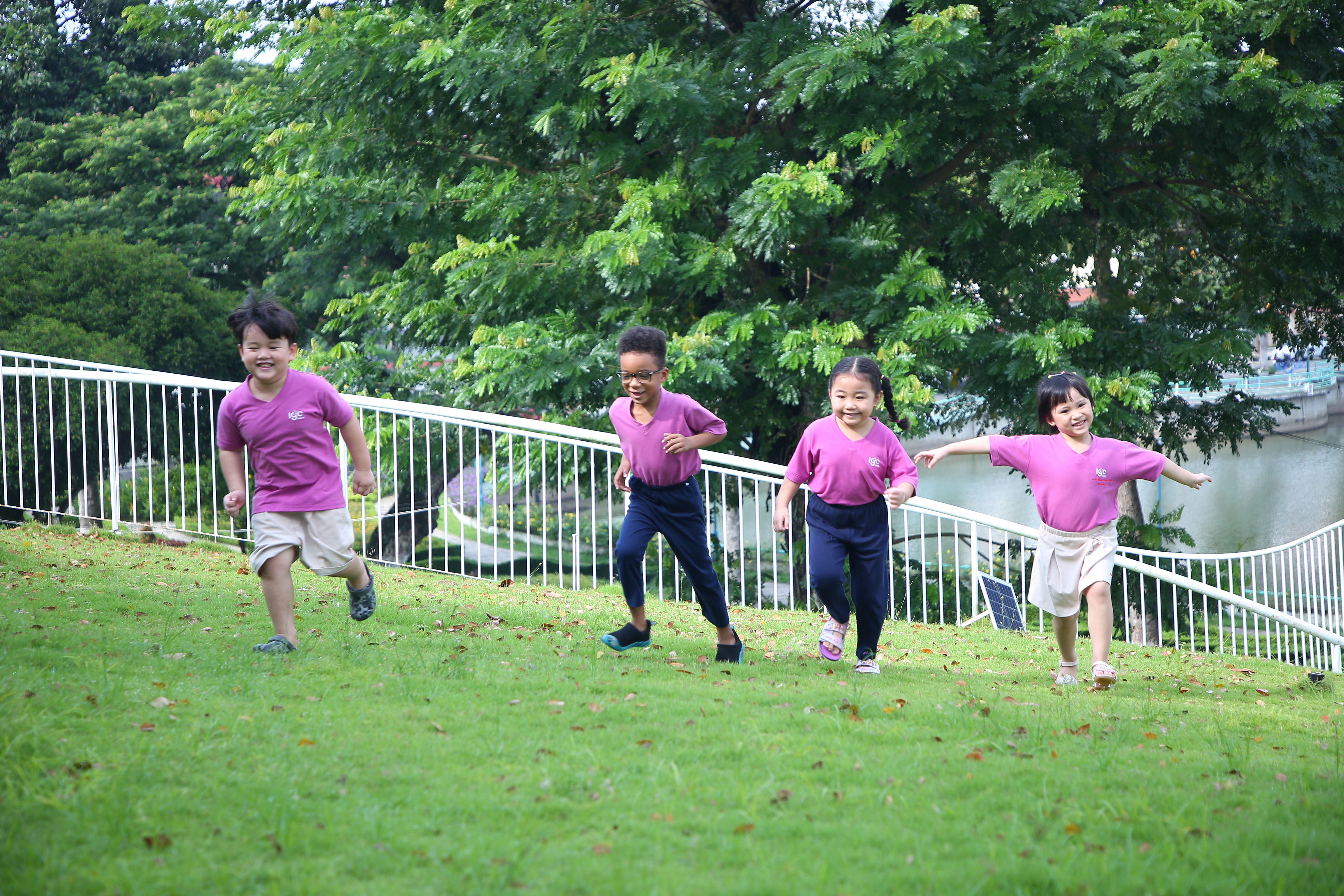 [TRƯỜNG MẦM NON IGC BẾN TRE] NGÔI TRƯỜNG XANH MÁT THẬT CHILL